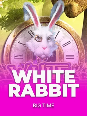 White Rabbit