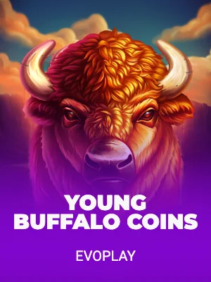 Young Buffalo Coins