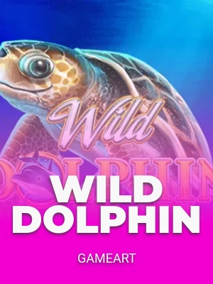 Wild Dolphin