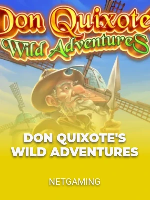 Don Quixote's Wild Adventures