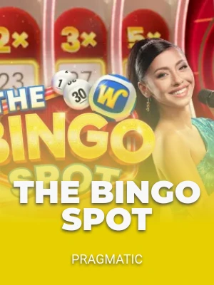 The Bingo Spot