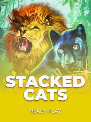 Stacked Cats